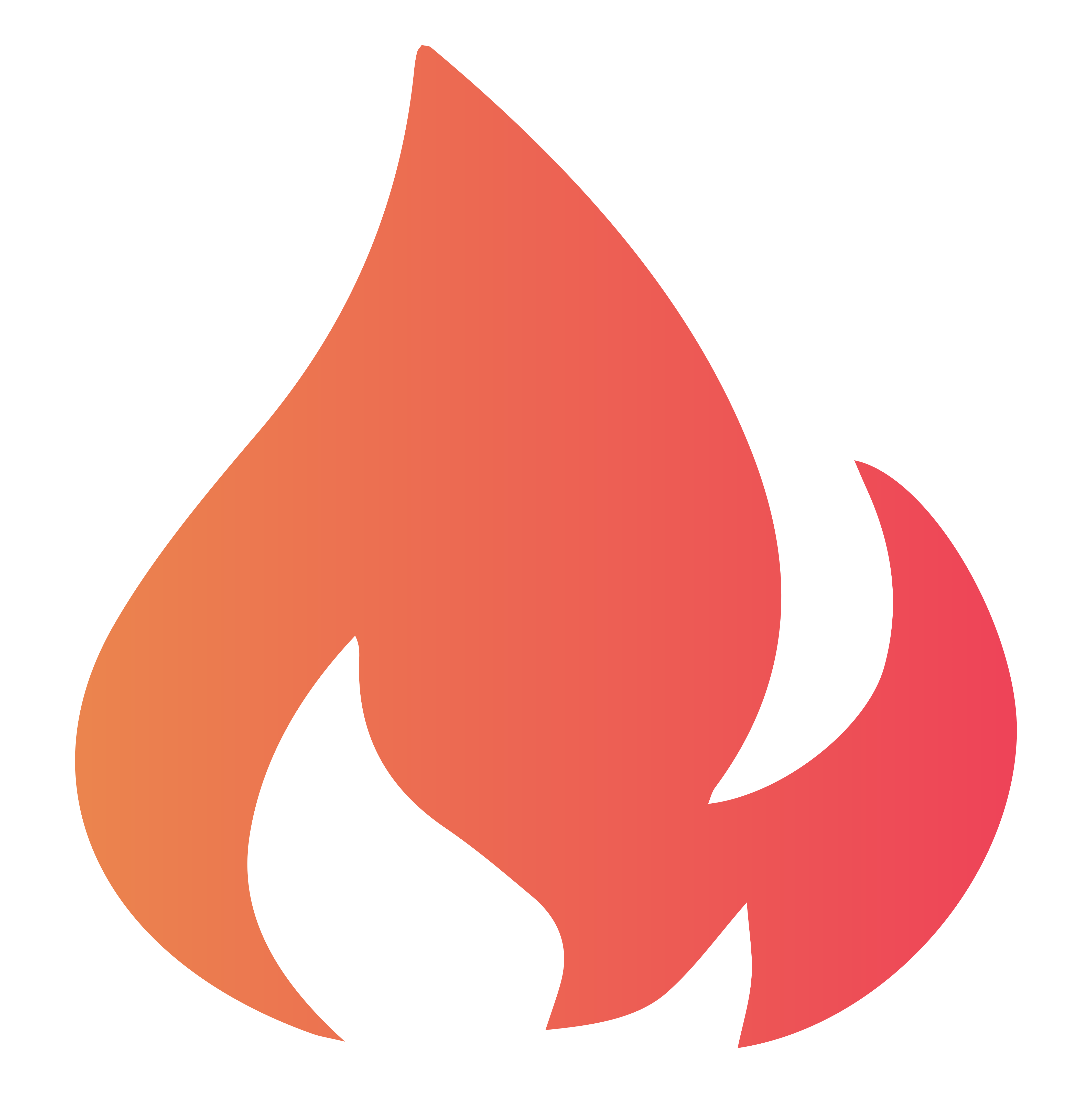 Logo Fireship