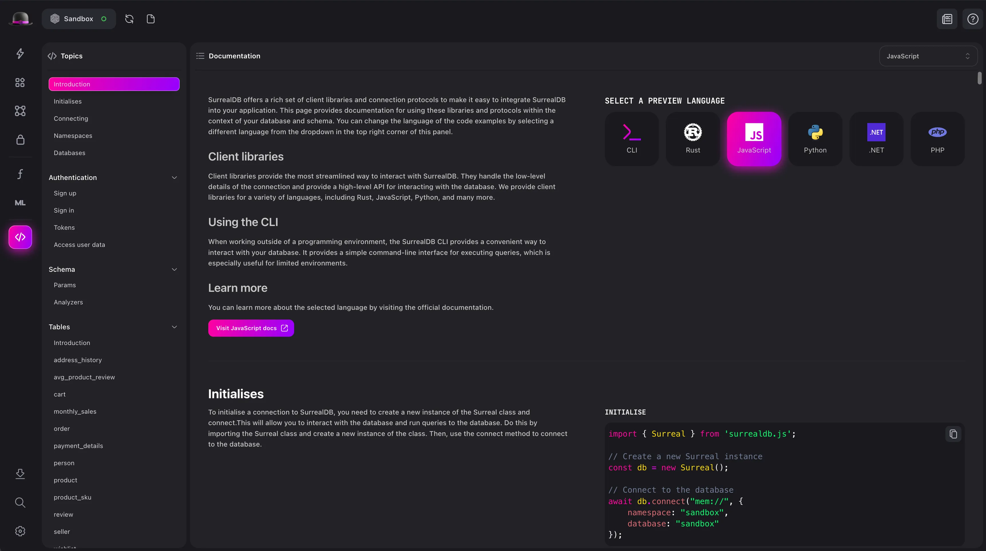 Surrealist API Docs view