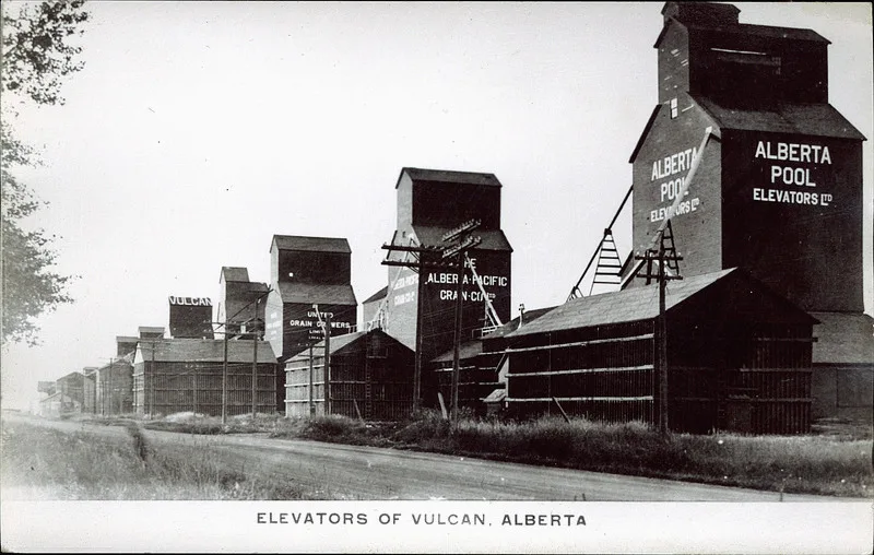 A postcard showing a row of tall wooden grain elevators beside a dirt road and a railway, one painted ALBERTA POOL ELEVATORS LTD, with the caption ELEVATORS OF VULCAN, ALBERTA.